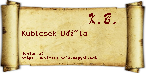 Kubicsek Béla névjegykártya