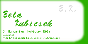 bela kubicsek business card